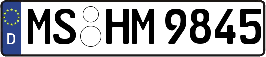 MS-HM9845
