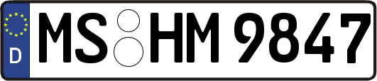 MS-HM9847