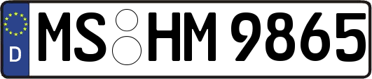 MS-HM9865