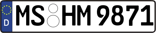 MS-HM9871