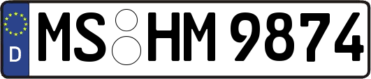 MS-HM9874
