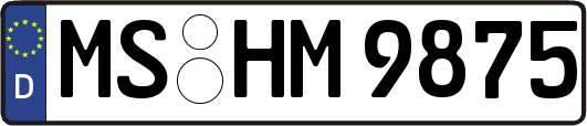 MS-HM9875