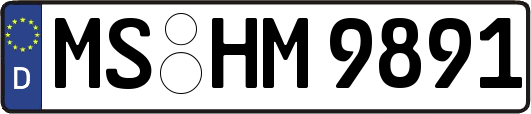 MS-HM9891