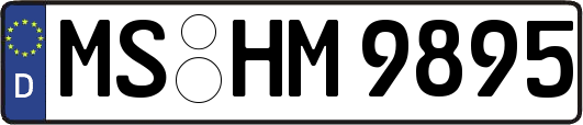 MS-HM9895