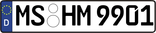 MS-HM9901