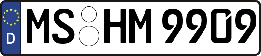 MS-HM9909