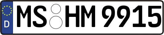 MS-HM9915