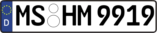 MS-HM9919