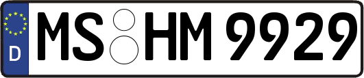 MS-HM9929