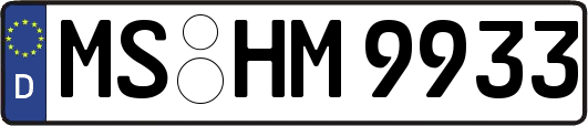 MS-HM9933