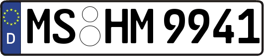 MS-HM9941