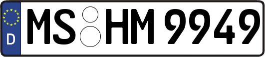 MS-HM9949