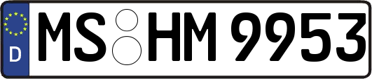 MS-HM9953