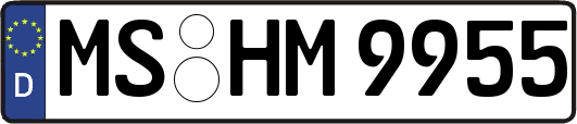 MS-HM9955