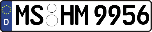 MS-HM9956