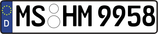 MS-HM9958