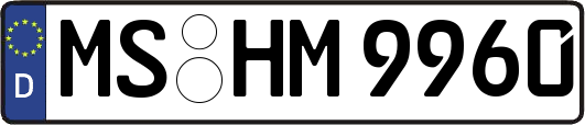MS-HM9960