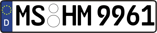 MS-HM9961