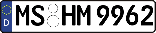 MS-HM9962