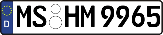 MS-HM9965