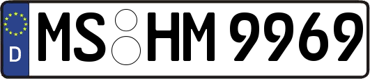 MS-HM9969