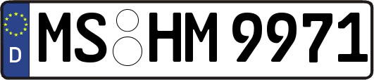 MS-HM9971