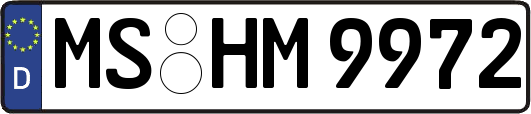 MS-HM9972