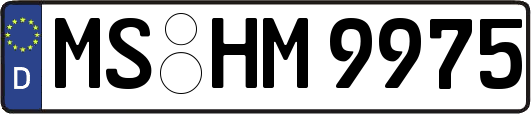 MS-HM9975