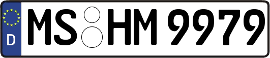 MS-HM9979