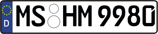 MS-HM9980
