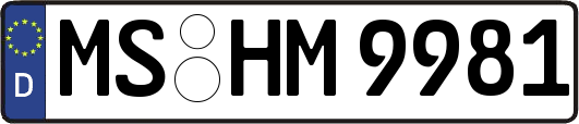 MS-HM9981