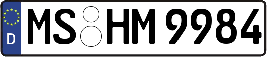 MS-HM9984