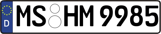 MS-HM9985
