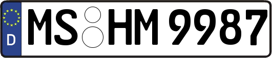 MS-HM9987