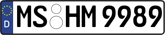 MS-HM9989