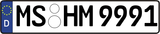 MS-HM9991
