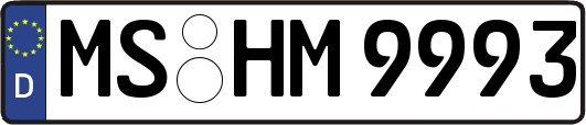 MS-HM9993