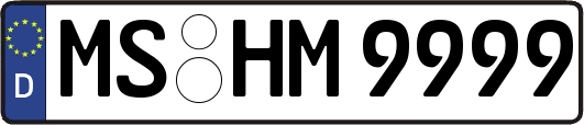 MS-HM9999