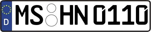MS-HN0110