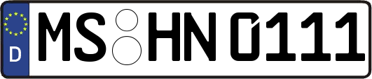 MS-HN0111