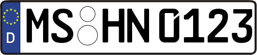 MS-HN0123