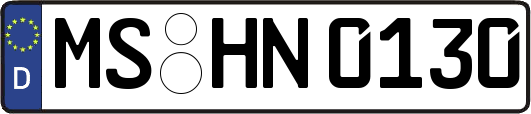 MS-HN0130