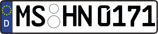 MS-HN0171