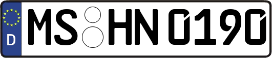 MS-HN0190