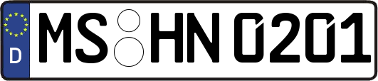 MS-HN0201