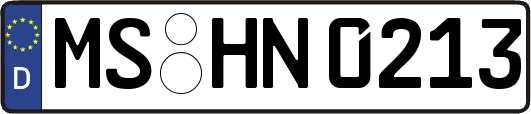 MS-HN0213