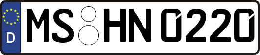 MS-HN0220
