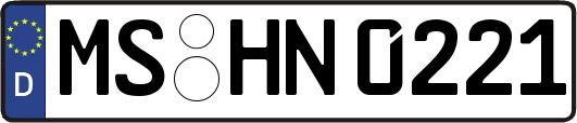 MS-HN0221