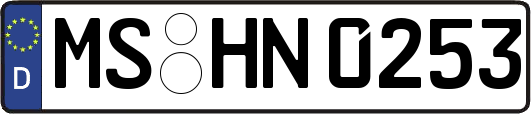 MS-HN0253
