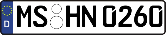 MS-HN0260